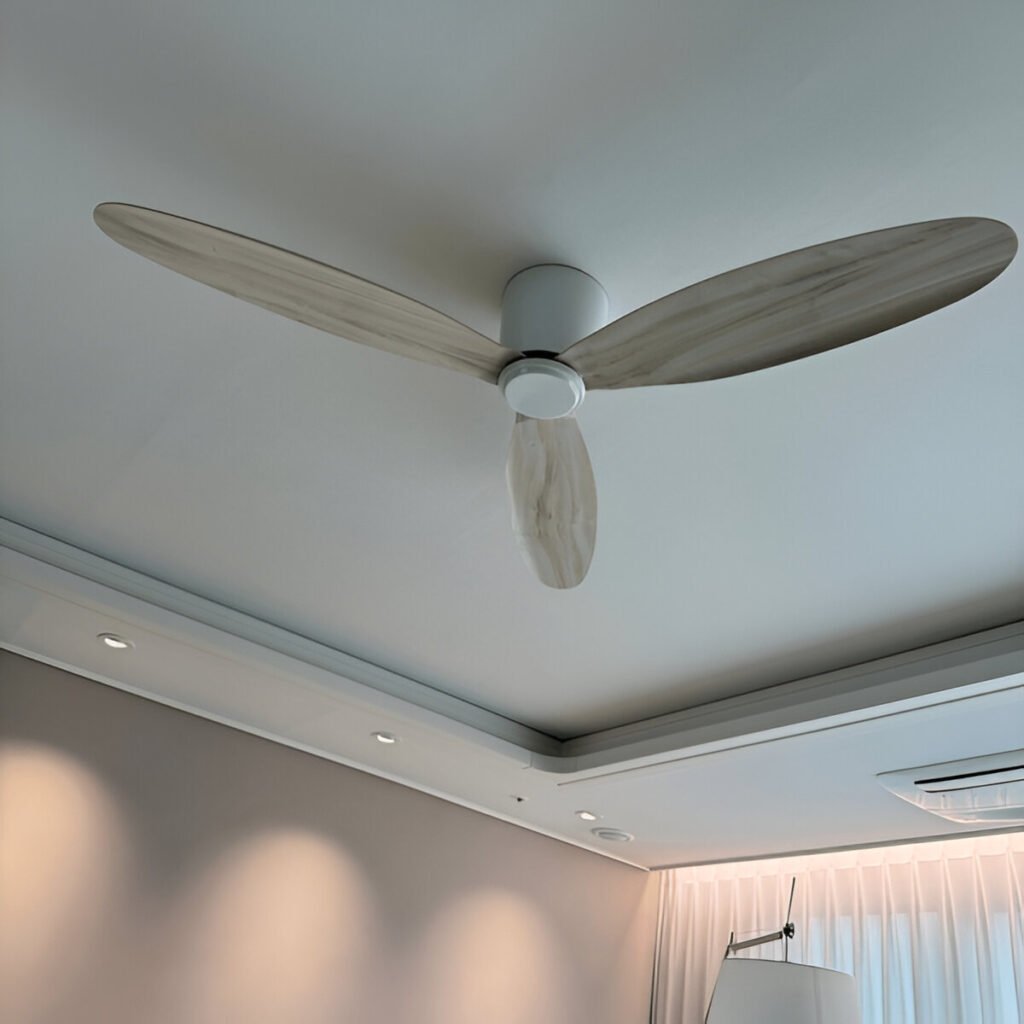 Ceiling Fans