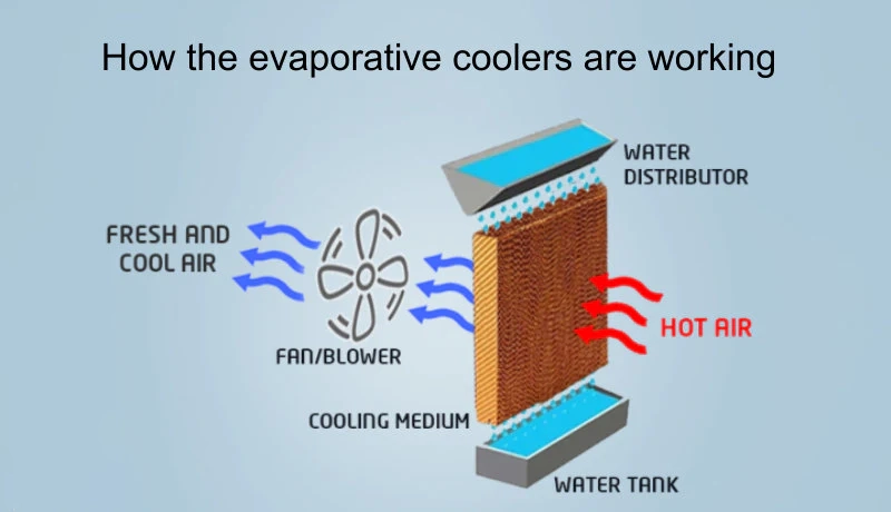 Portable Air Cooler