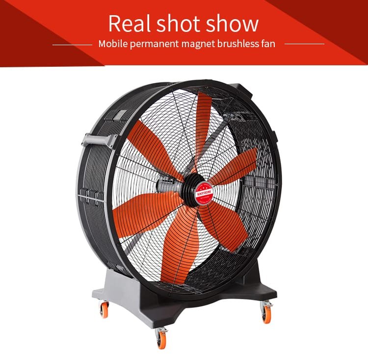 Permanent magnet mobile fan (4)