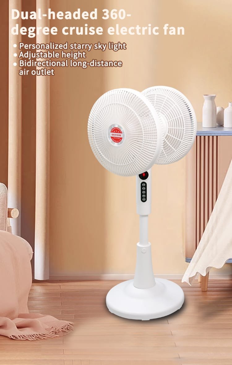 ST360-002DC dual head electric fan (1)