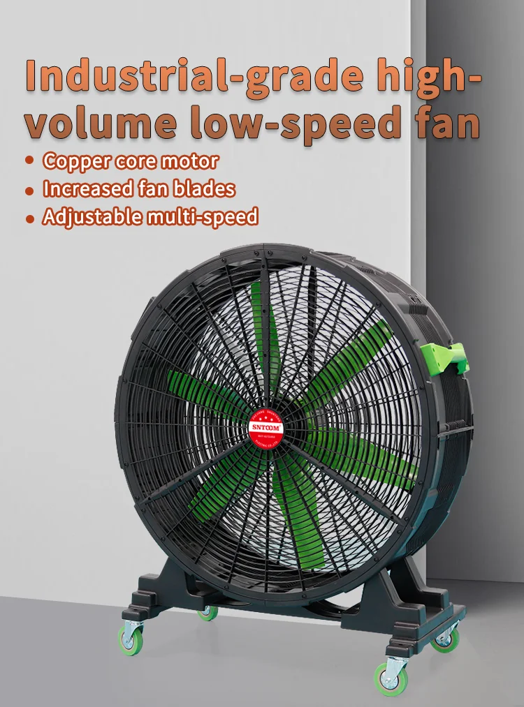 FAN (2)