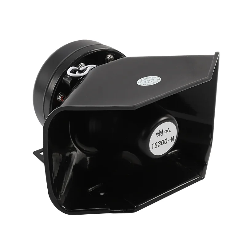 TS 300 (10)