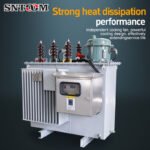 SVR Series High Voltage Power Voltage Regulator product image